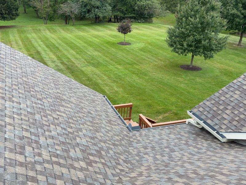 Completed shingle roof overlooking the yard